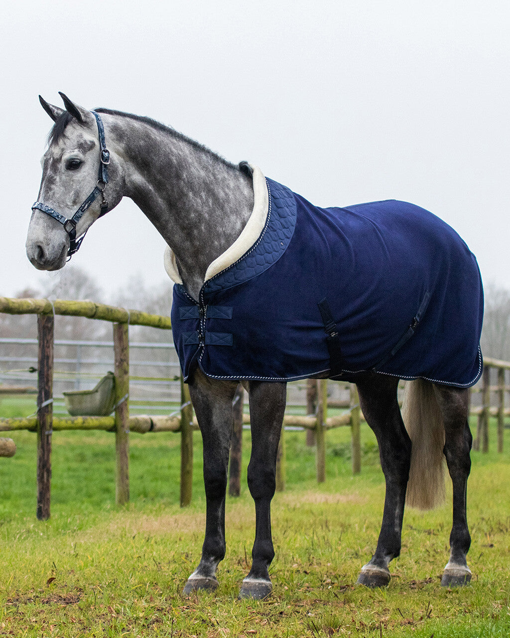 Brilliance Show Rug
