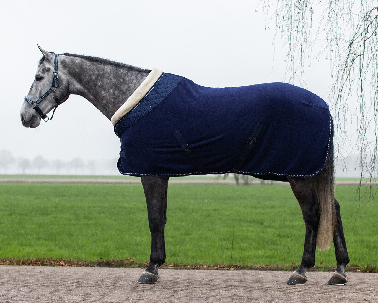 Brilliance Show Rug