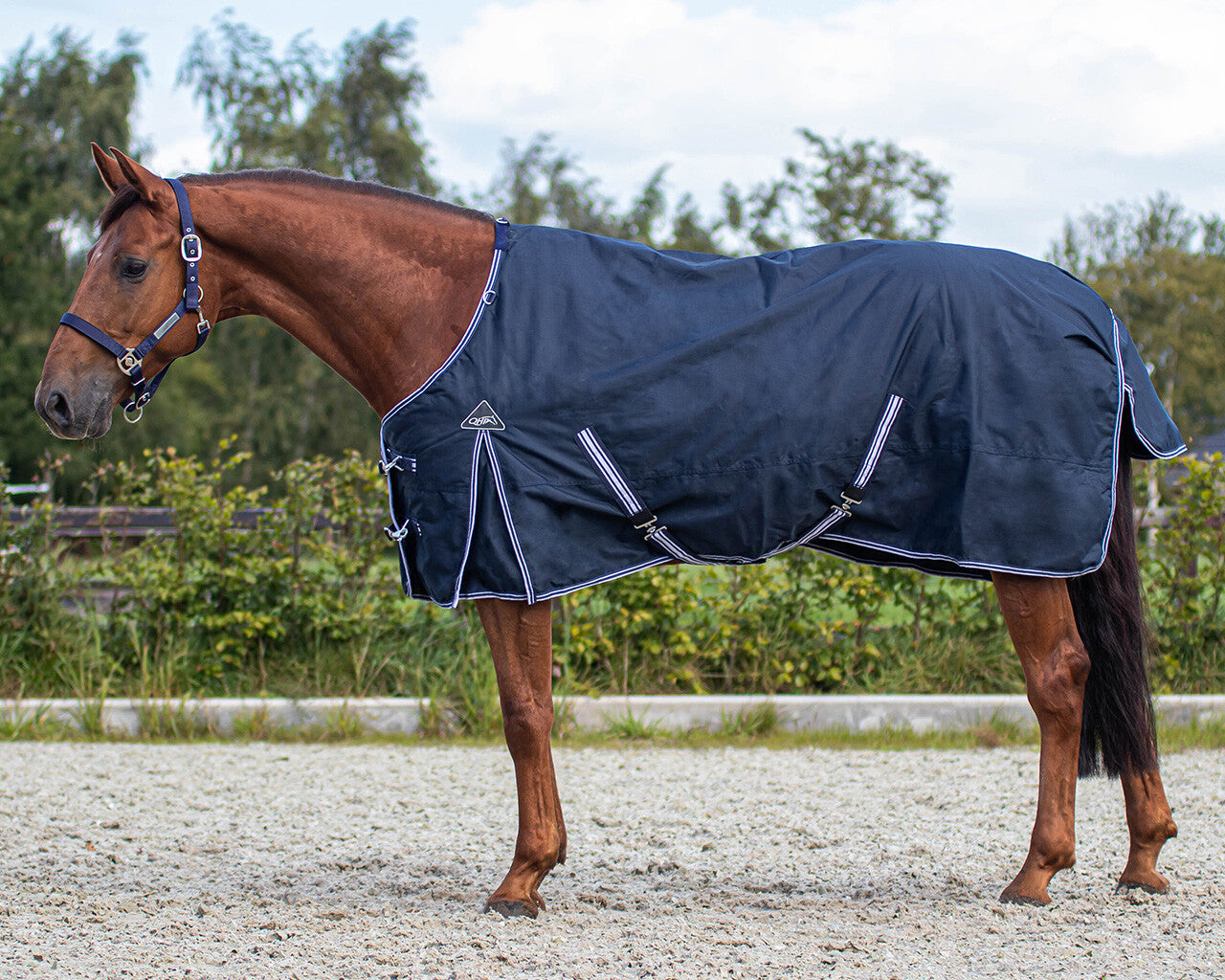 Luxury 200g Turnout Rug - Navy