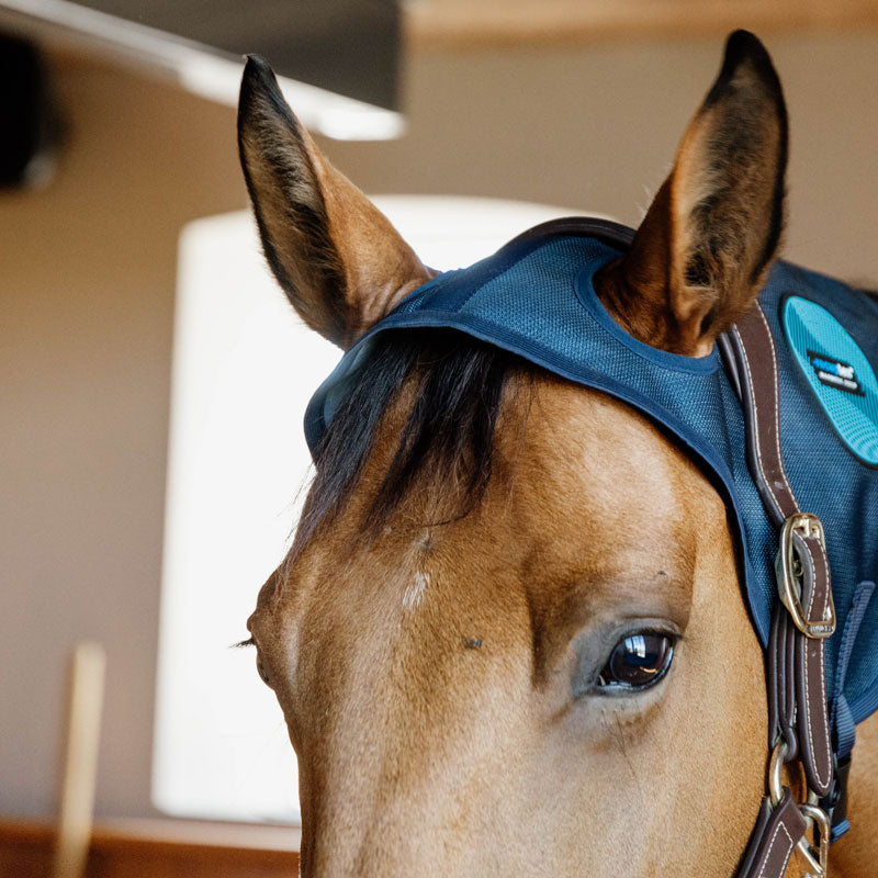 Kentucky Recuptex Magnetic Neck Protector