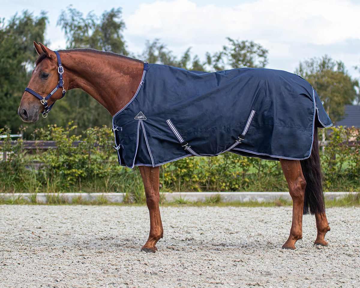Luxury 50gr Turnout Rug - Navy