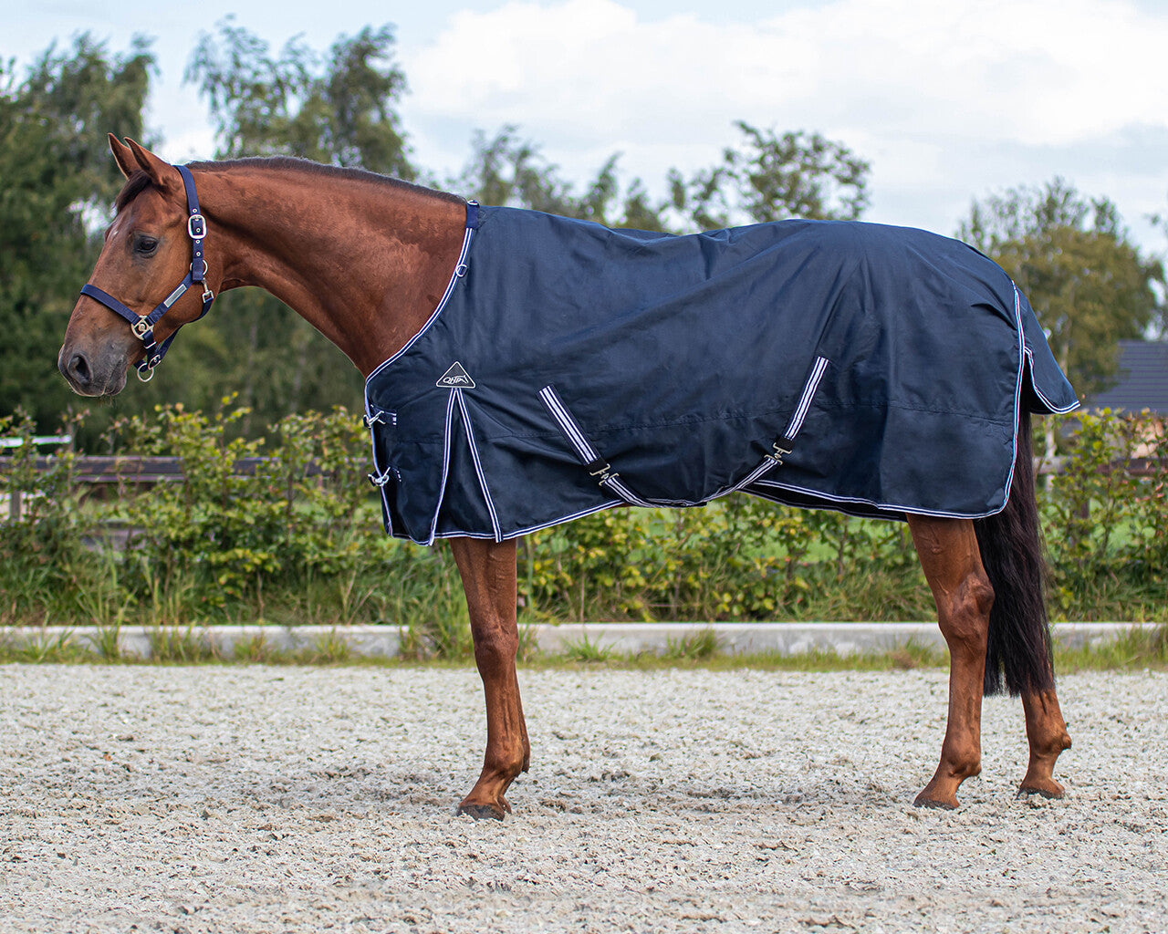 Luxury 50gr Turnout Rug - Navy