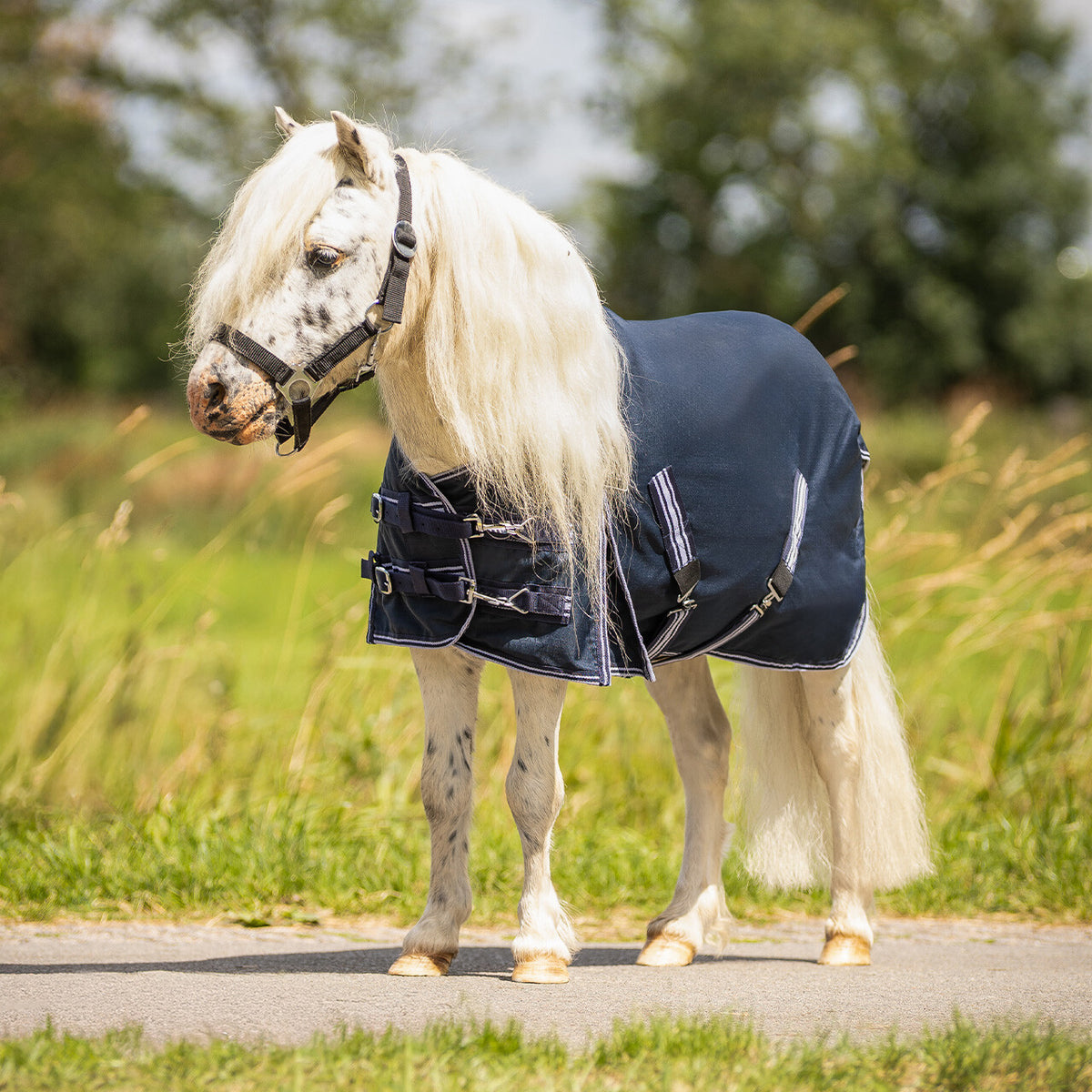 Turnout Rug -  Falabella 0g