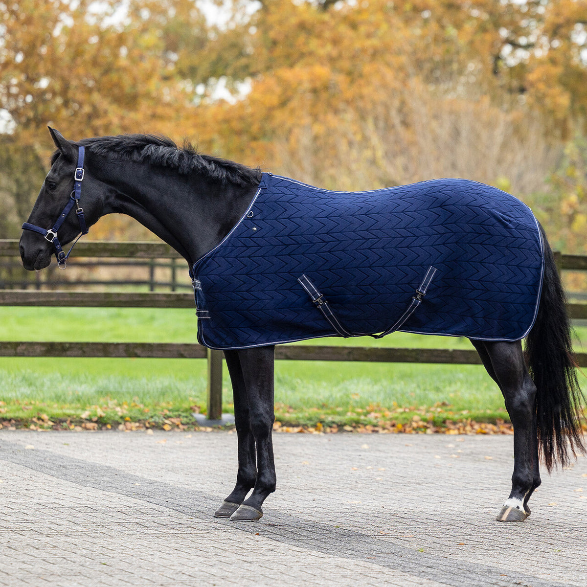 Embossed Fleece Rug With Detachable Neck