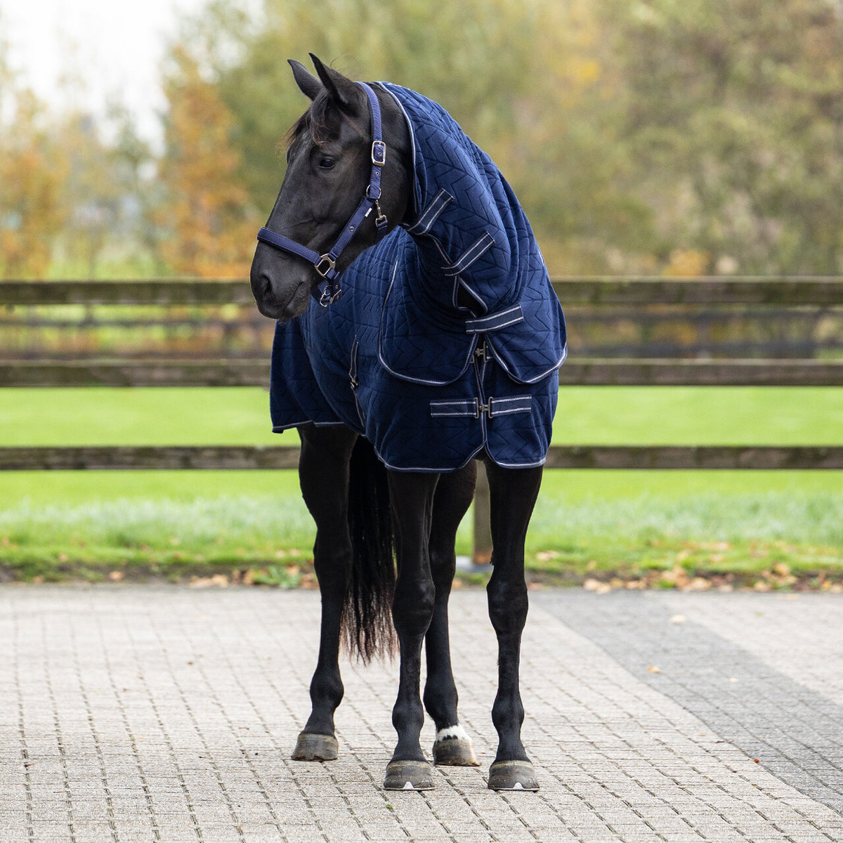 Embossed Fleece Rug With Detachable Neck