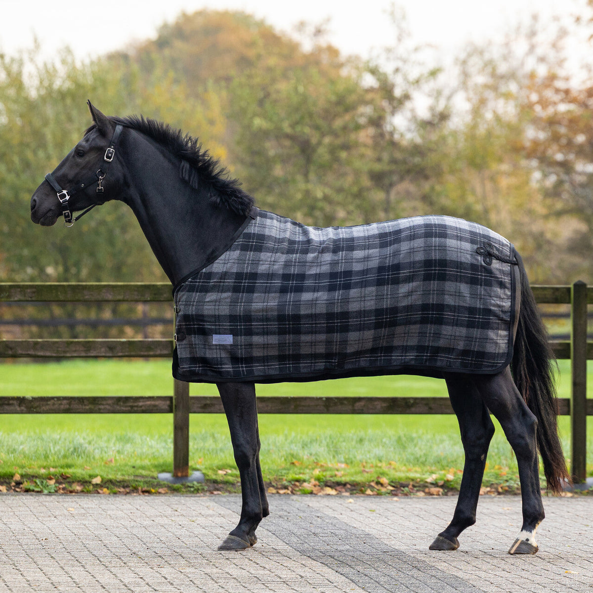 Check Wool Rug