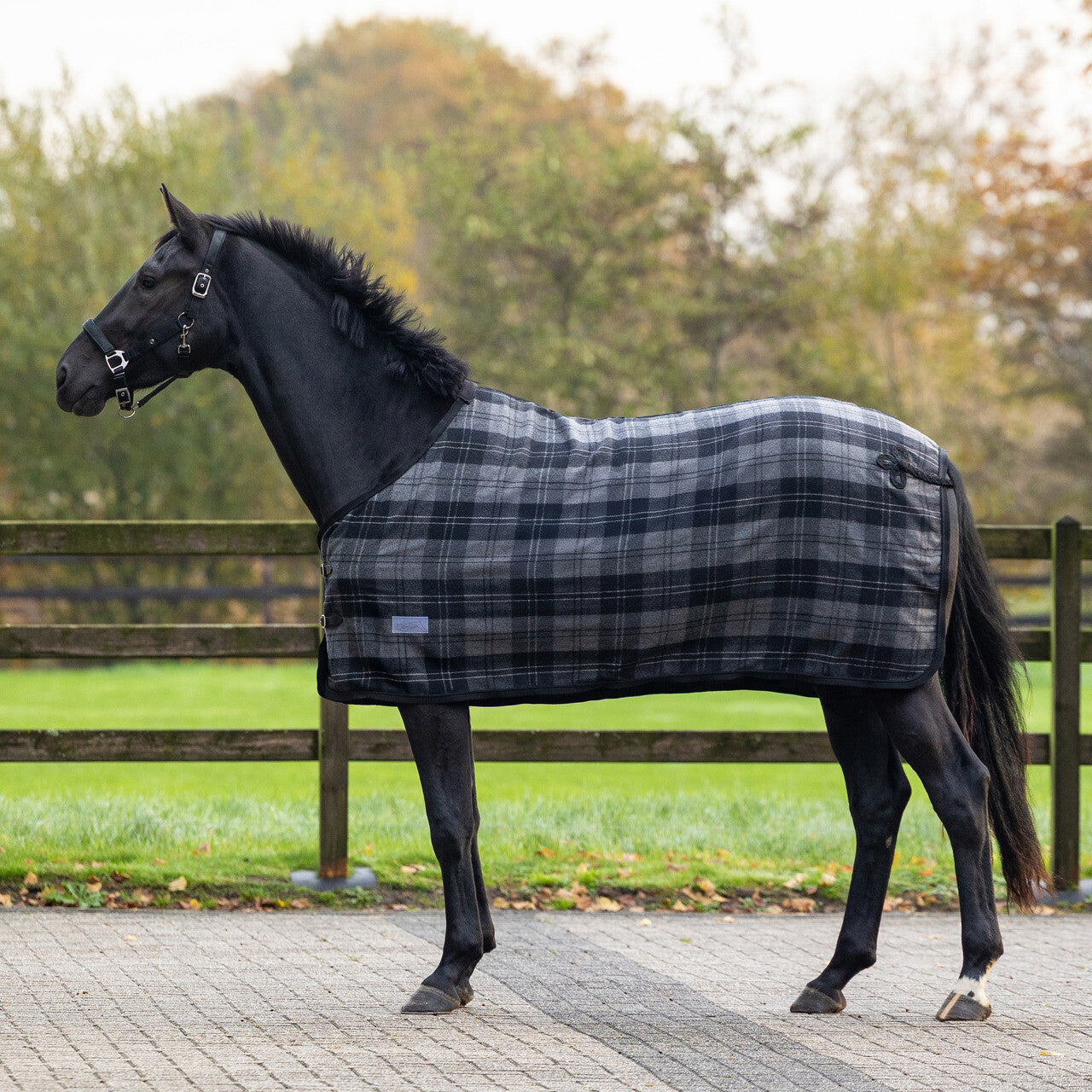 Check Wool Rug