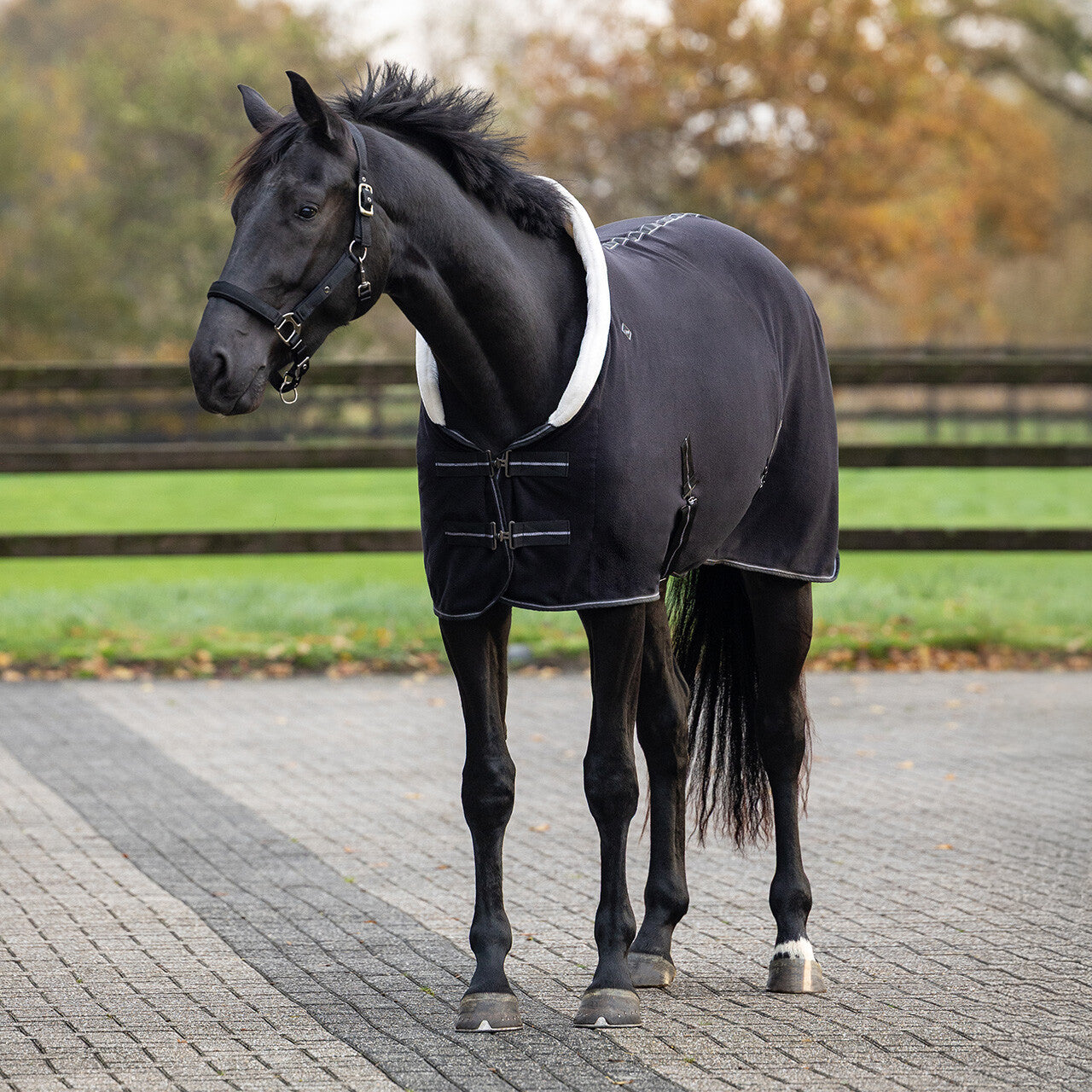 Shine Fleece Rug