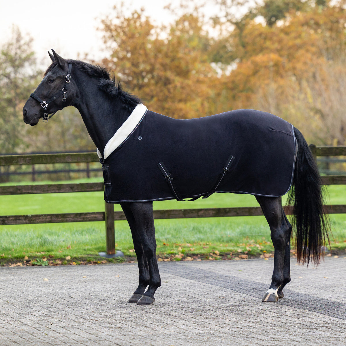 Shine Fleece Rug