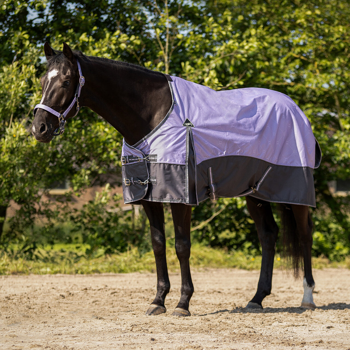 Turnout Rug Collection Fleece Lining