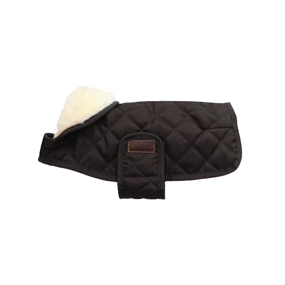 Kentucky Dog Coat