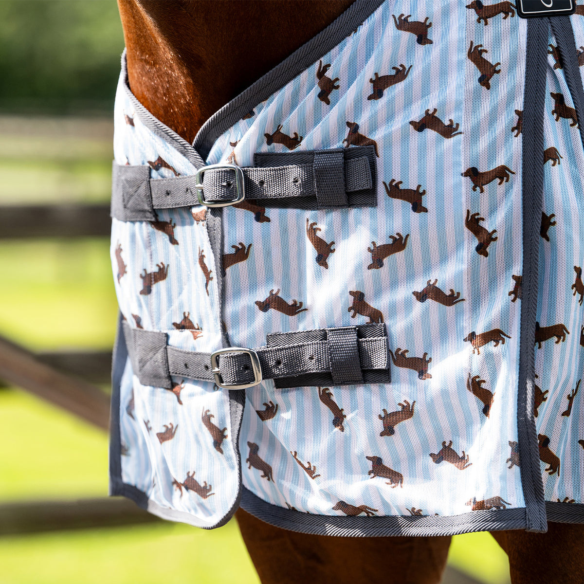 Stable Buddy Dachshund Print Fly Rug
