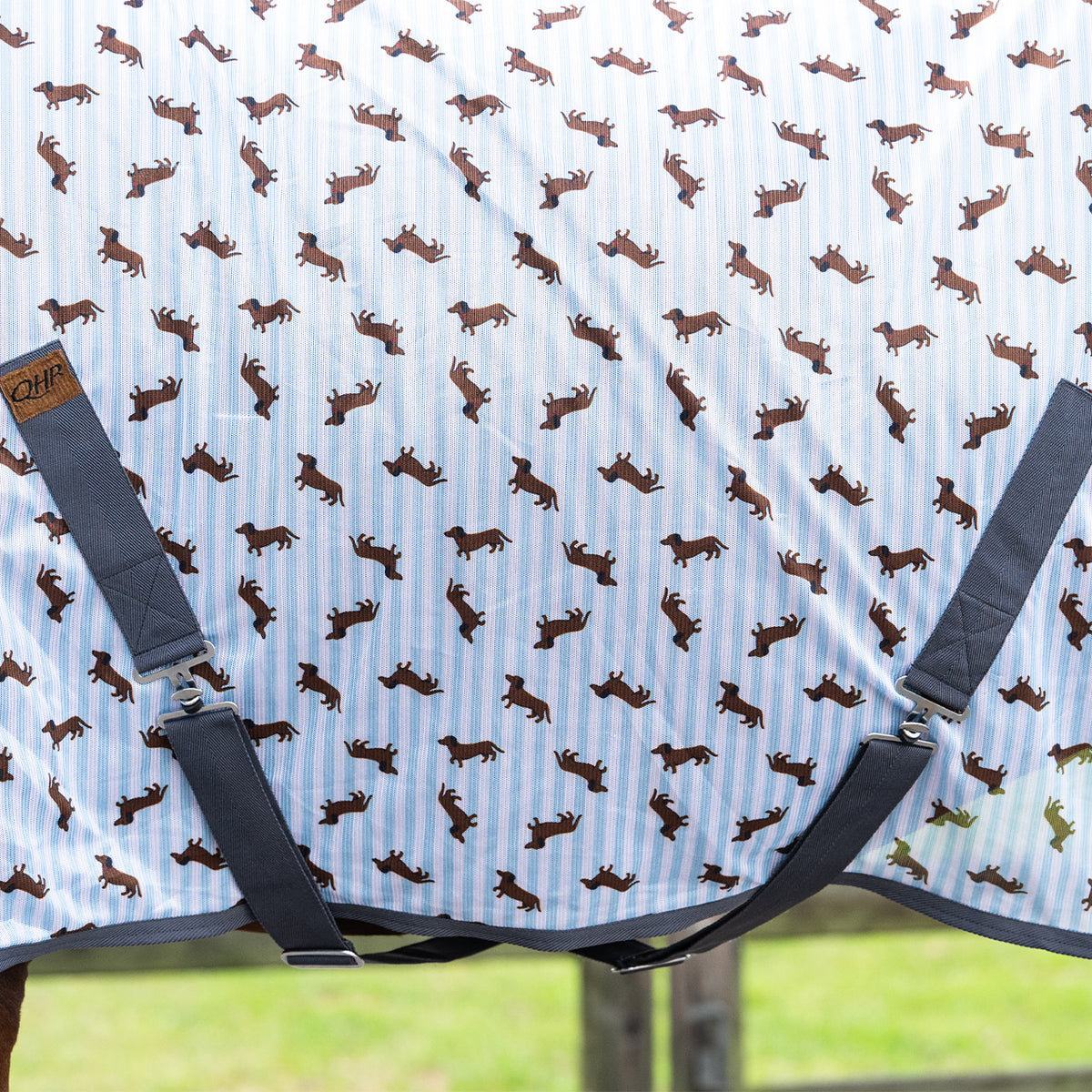 Stable Buddy Dachshund Print Fly Rug