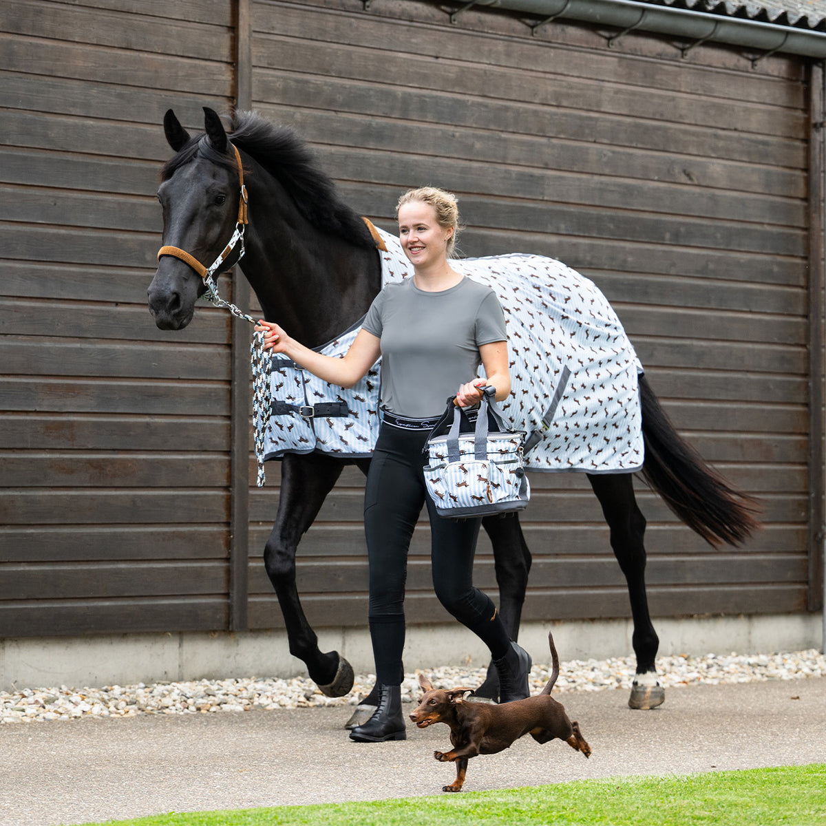 Stable Buddy Dachshund Print Fly Rug