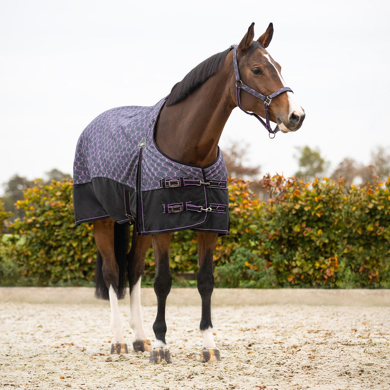 Turnout Rug 1200D Collection Fleece Lining