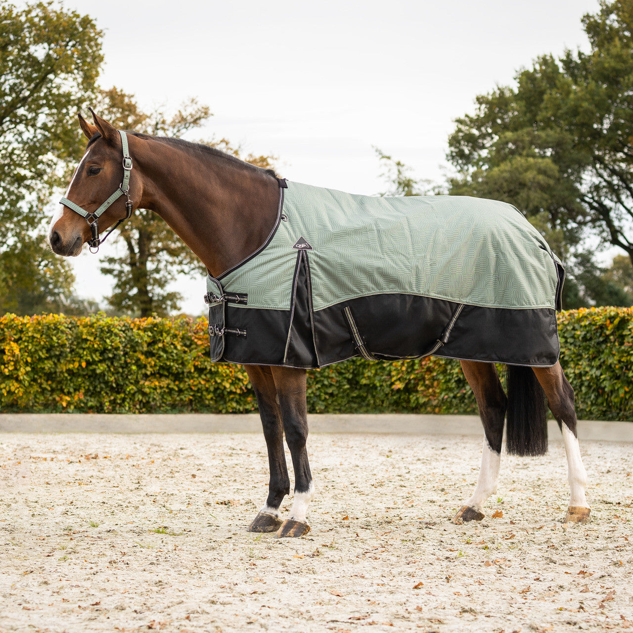 Turnout Rug 1200D Collection Fleece Lining