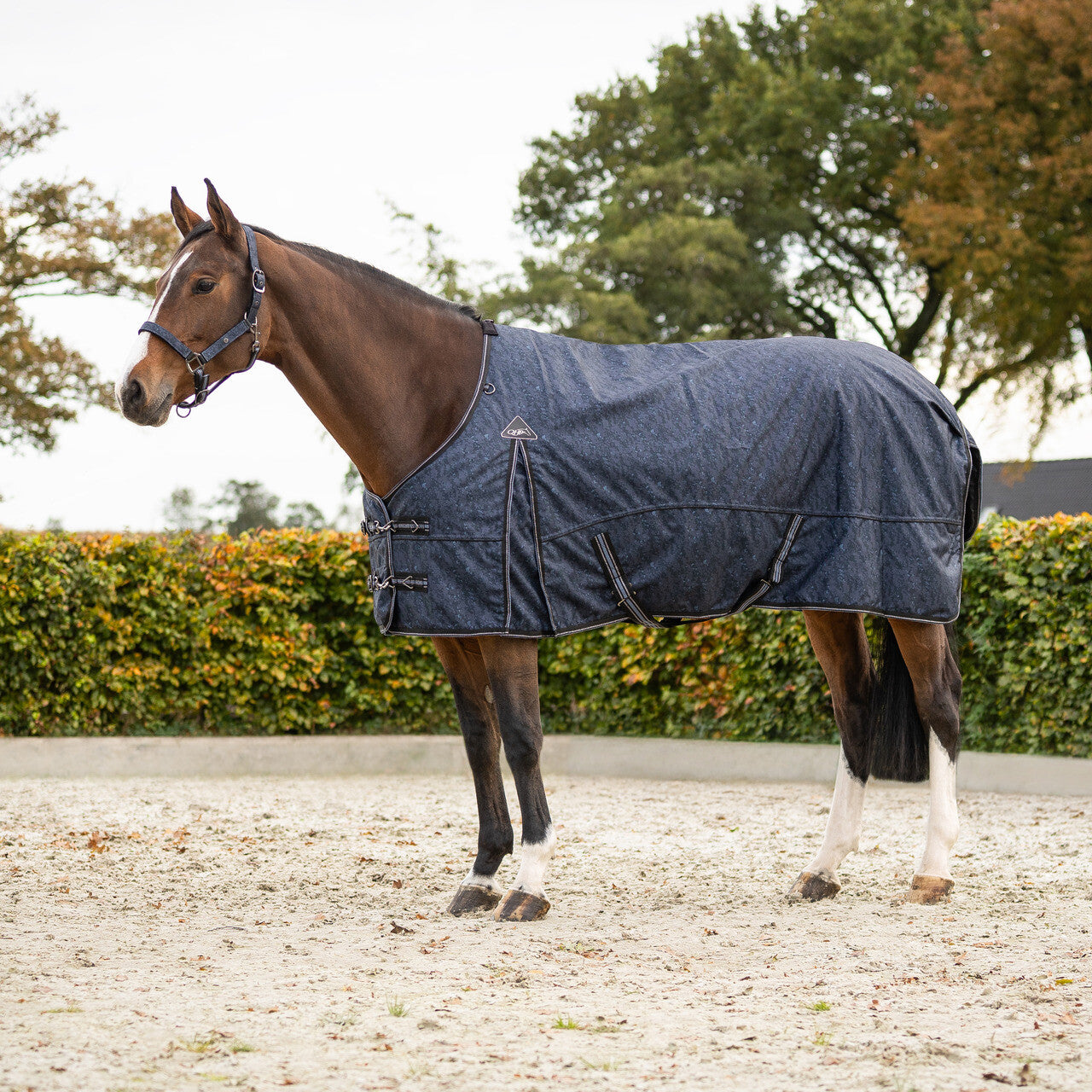 Turnout Rug 1200D Collection 50g