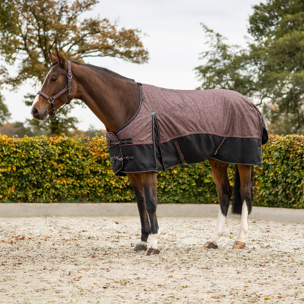 Turnout Rug 1200D Collection 50g