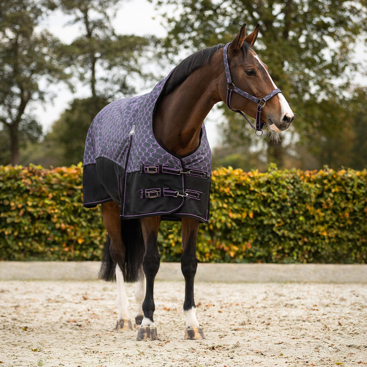 Turnout Rug 1200D Collection Half Neck 150g