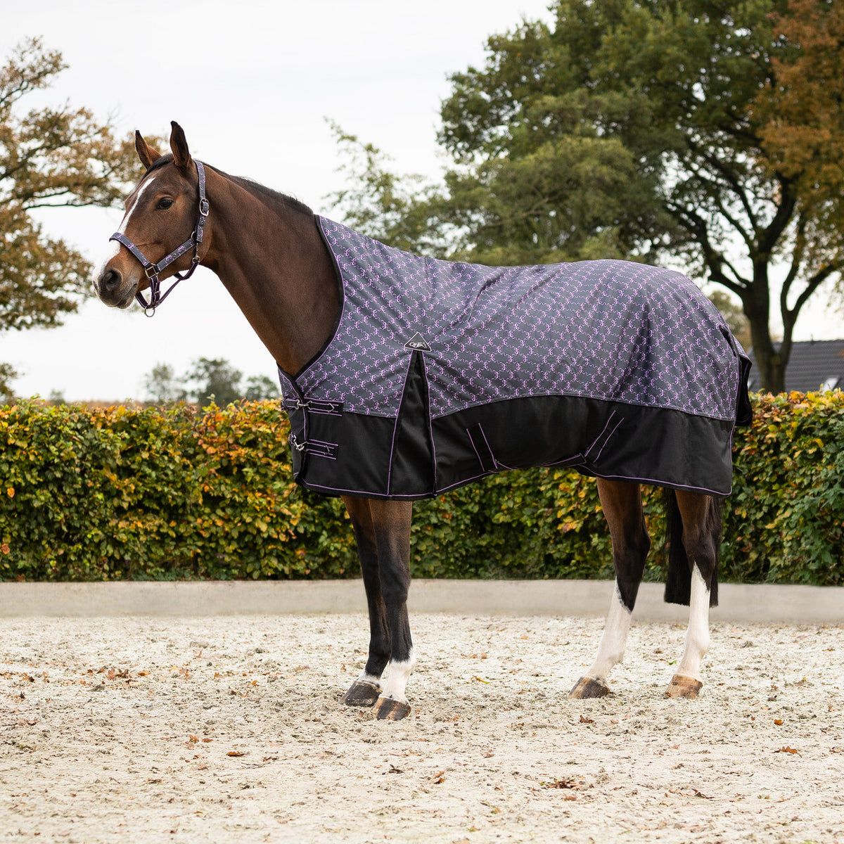 Turnout Rug 1200D Collection Half Neck 150g