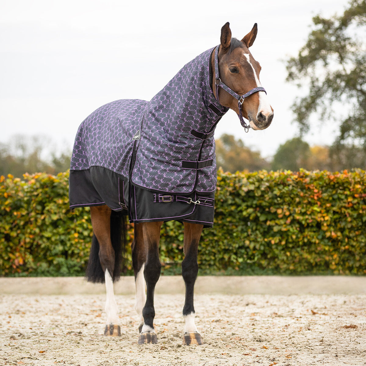 Turnout Rug 1200D Collection 150g With Detachable Neck