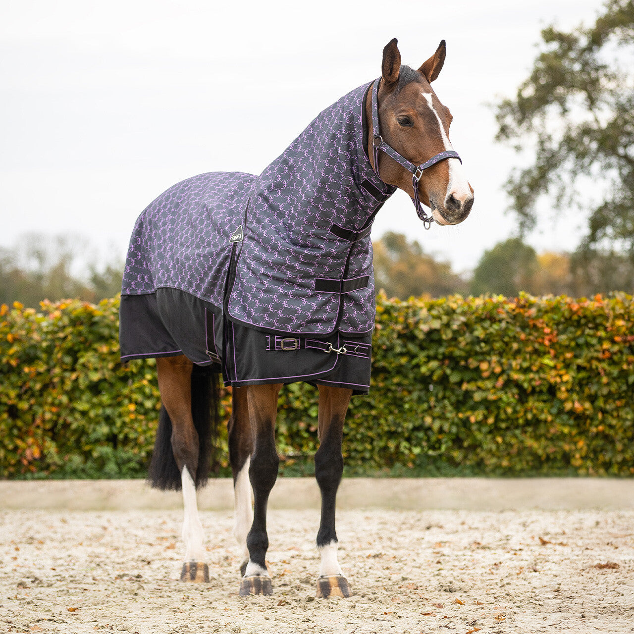 Turnout Rug 1200D Collection 150g With Detachable Neck