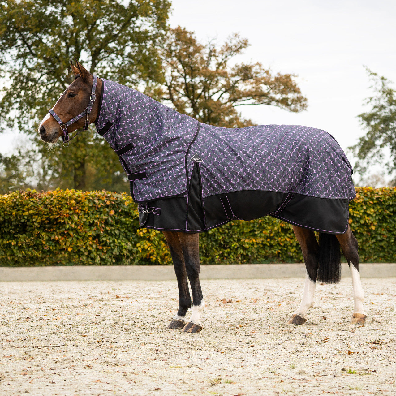 Turnout Rug 1200D Collection 150g With Detachable Neck