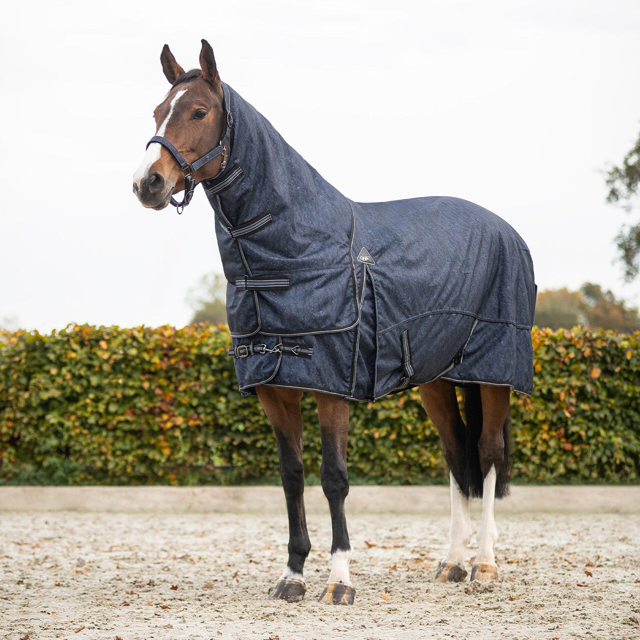 Turnout Rug 1200D Collection 150g With Detachable Neck
