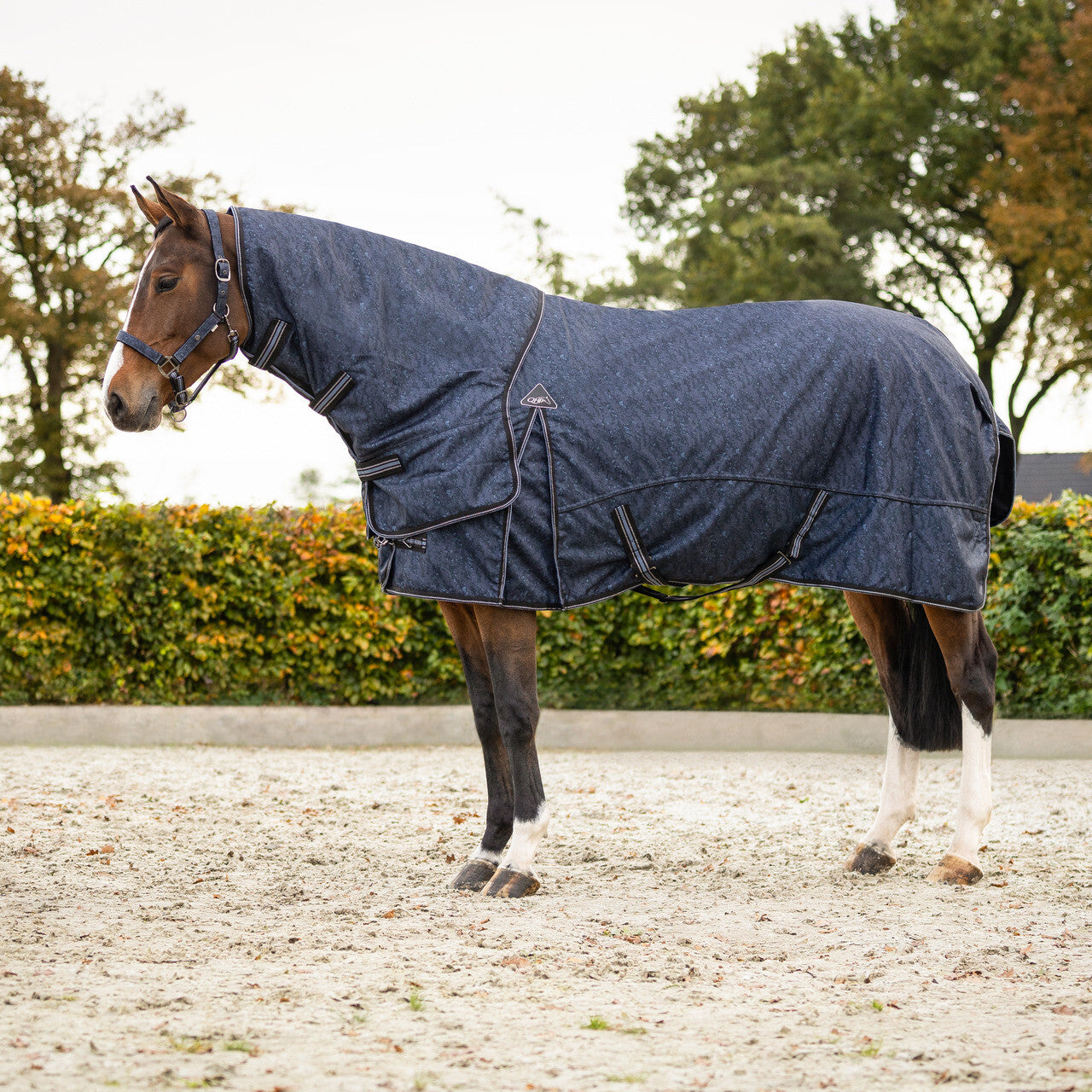 Turnout Rug 1200D Collection 150g With Detachable Neck