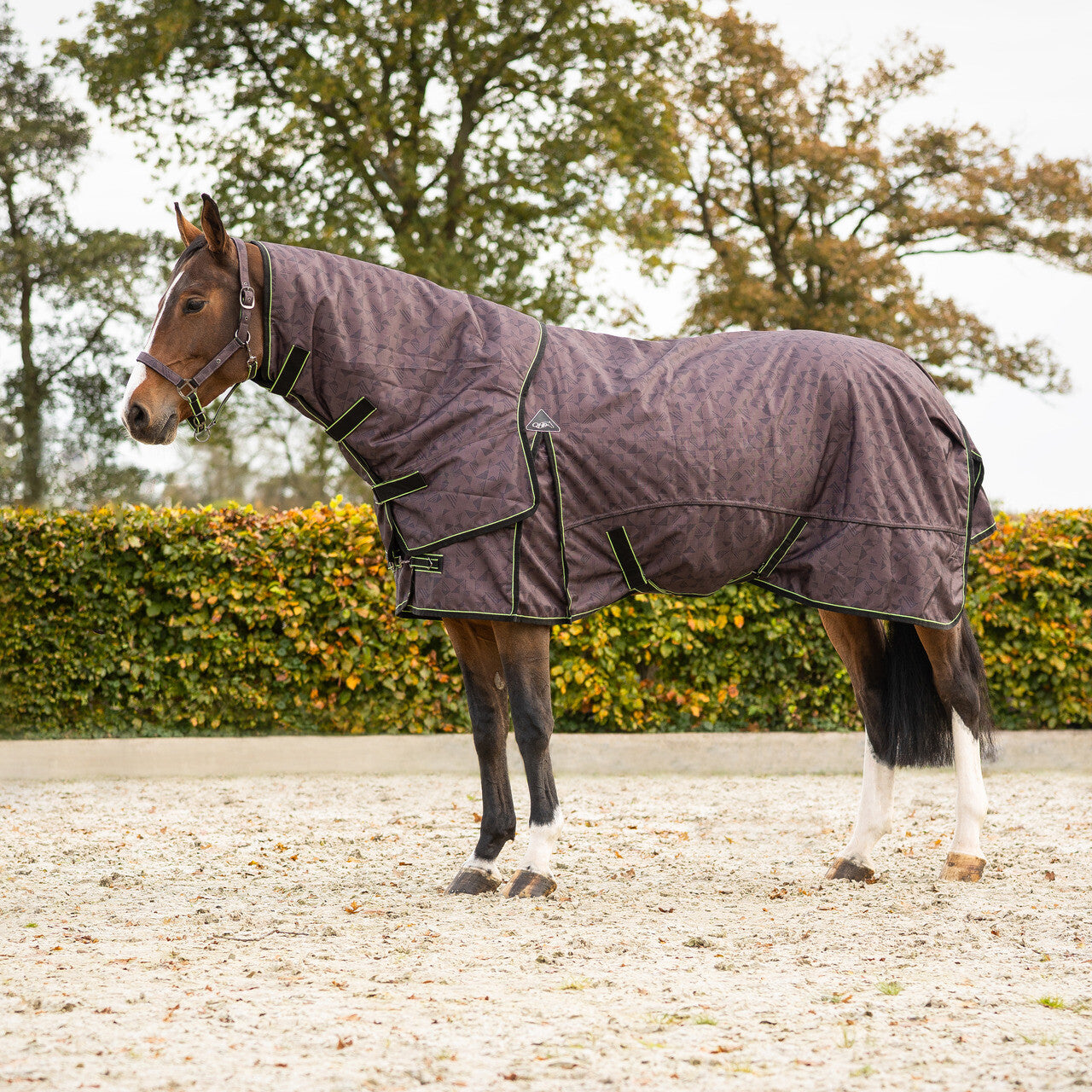 Turnout Rug 1200D Collection 150g With Detachable Neck