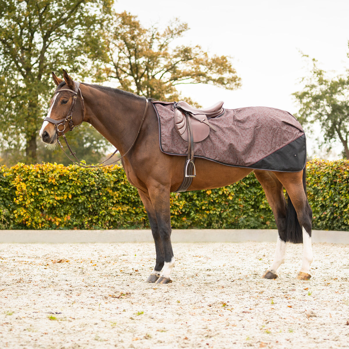 Exercise Sheet 1200D Turnout Collection Fleece