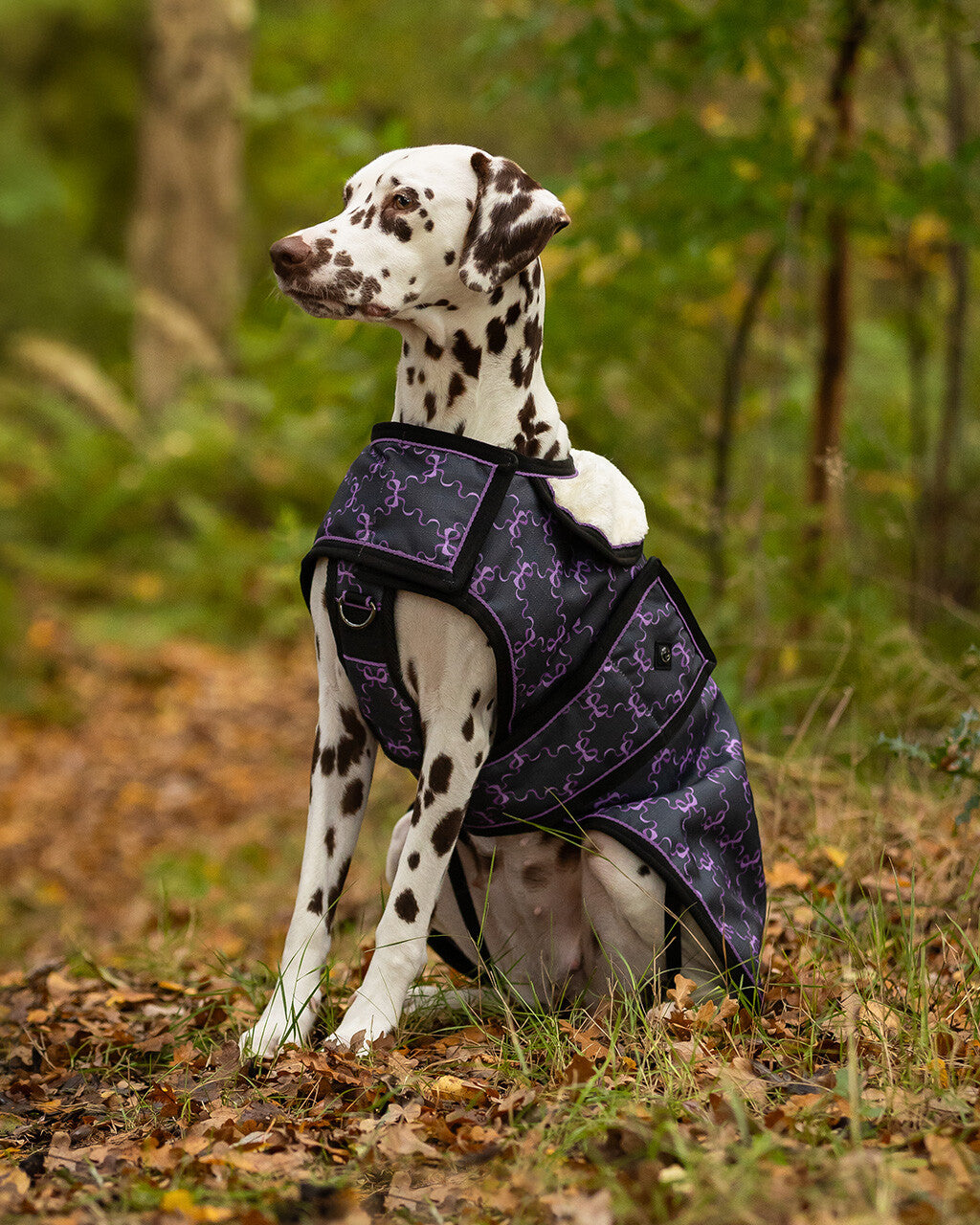 Dog Rug 1200D Turnout Collection