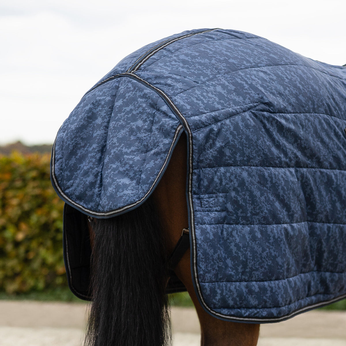 Stable Rug Start Collection 200g