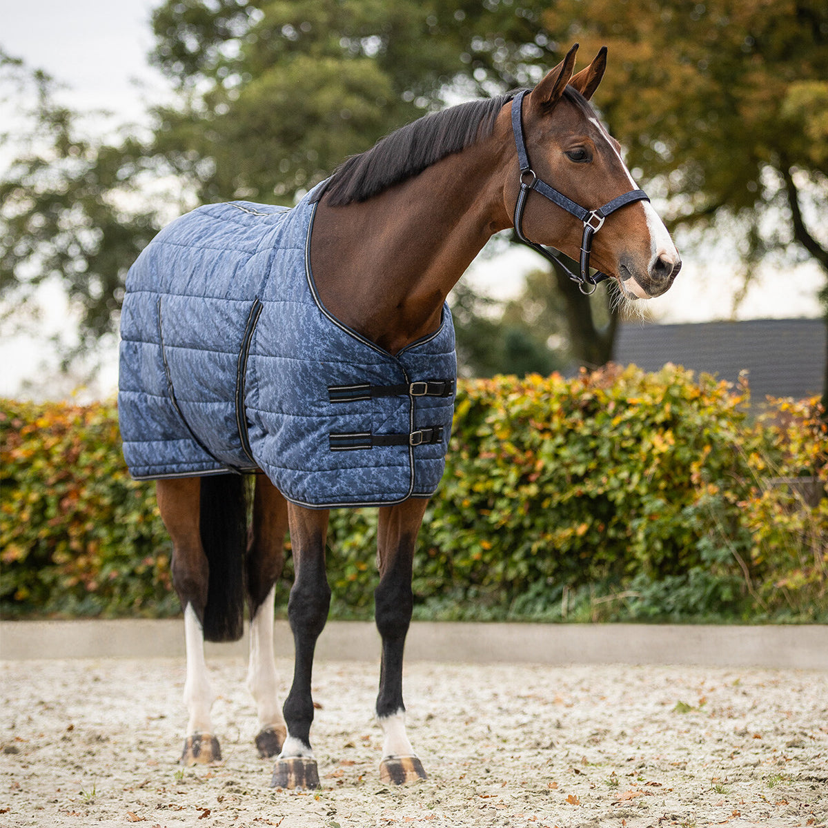 Stable Rug Start Collection 200g