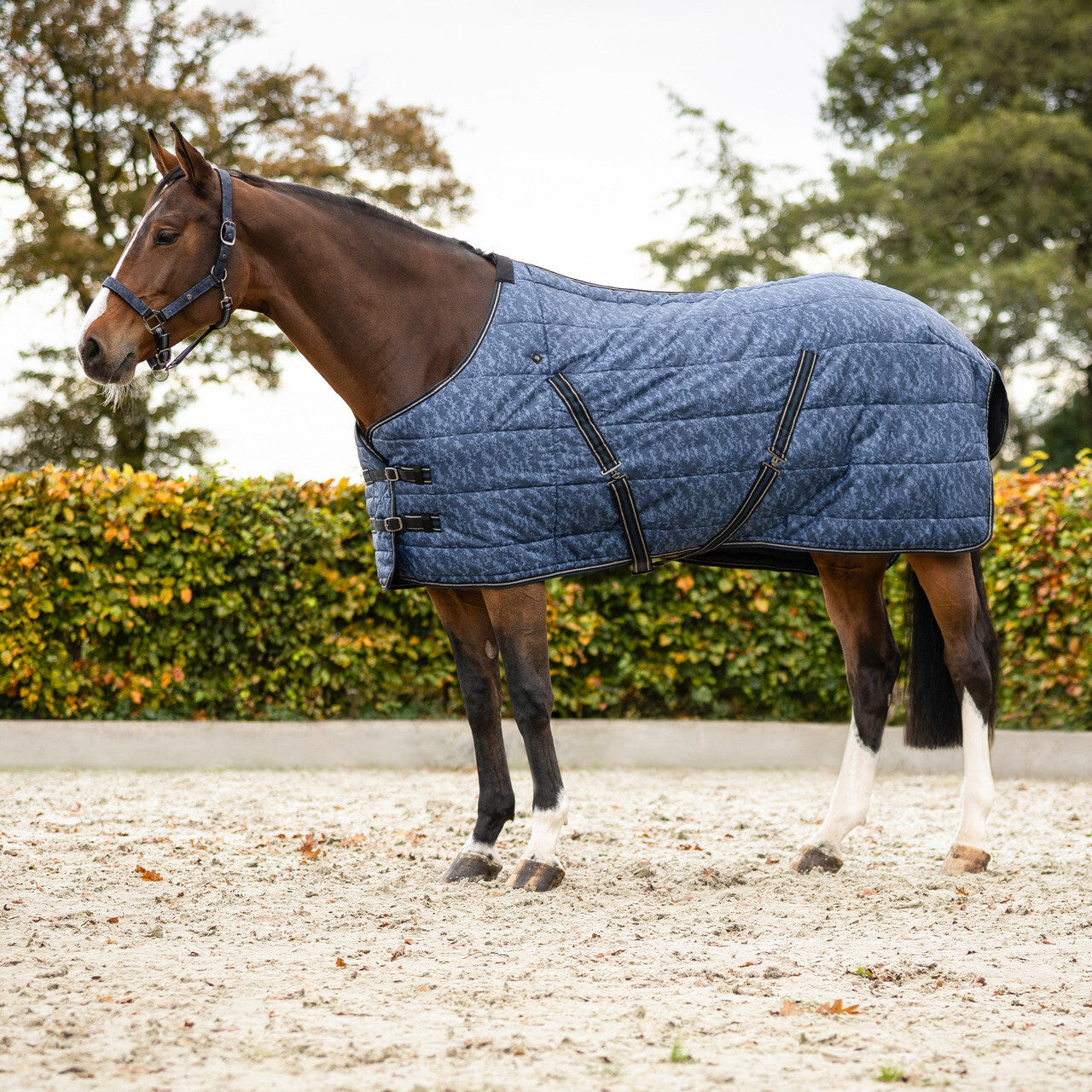 Stable Rug Start Collection 200g