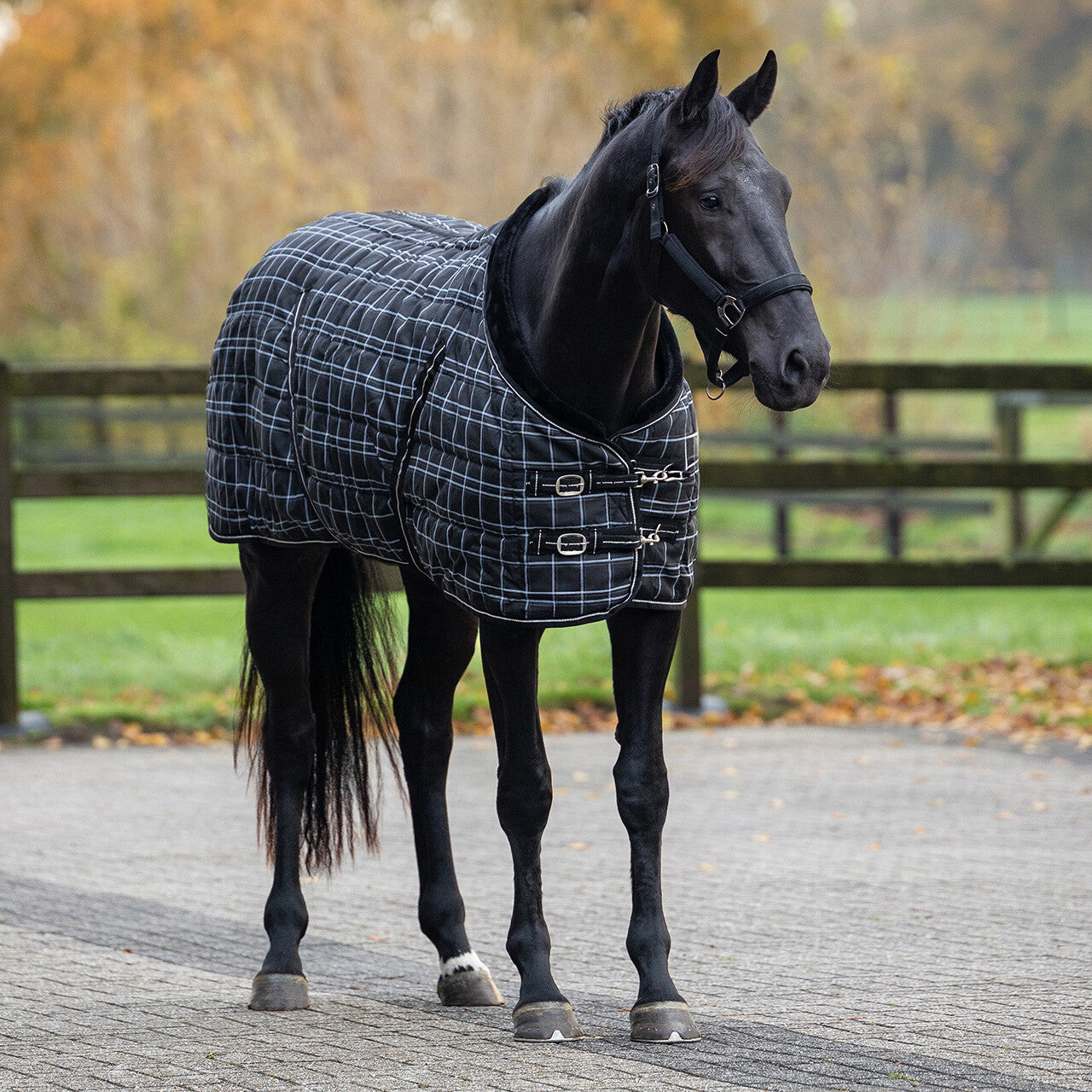 Stable Rug Luxury 250g
