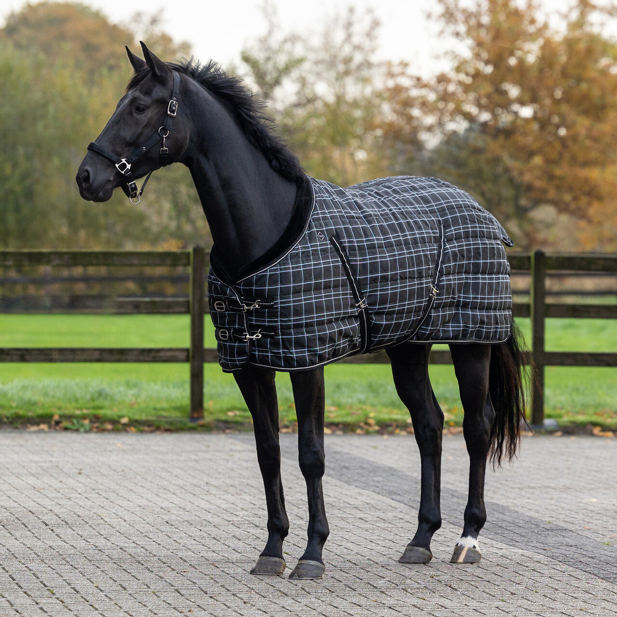 Stable Rug Luxury 250g