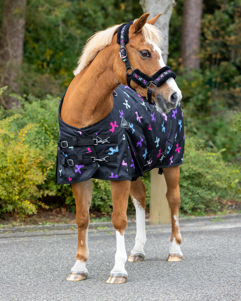Isalyn Turnout Rug 100g