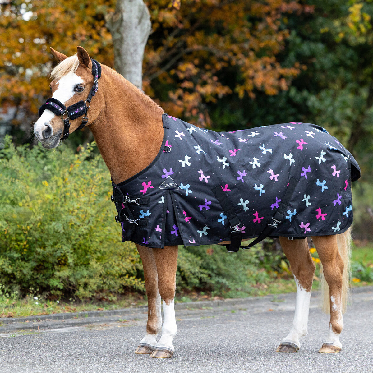 Isalyn Turnout Rug 100g