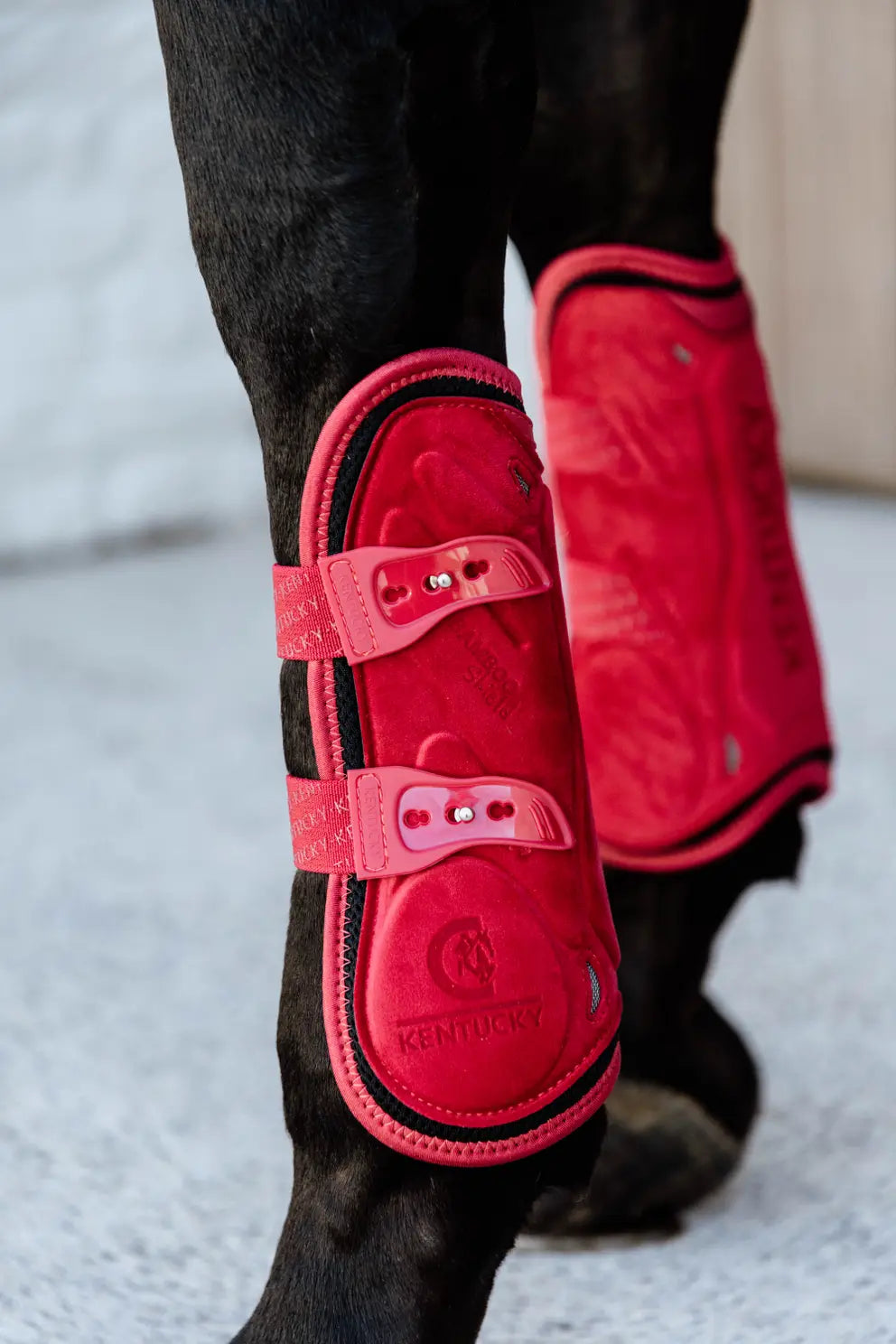 Kentucky Tendon Boots Bamboo Elastic Velvet