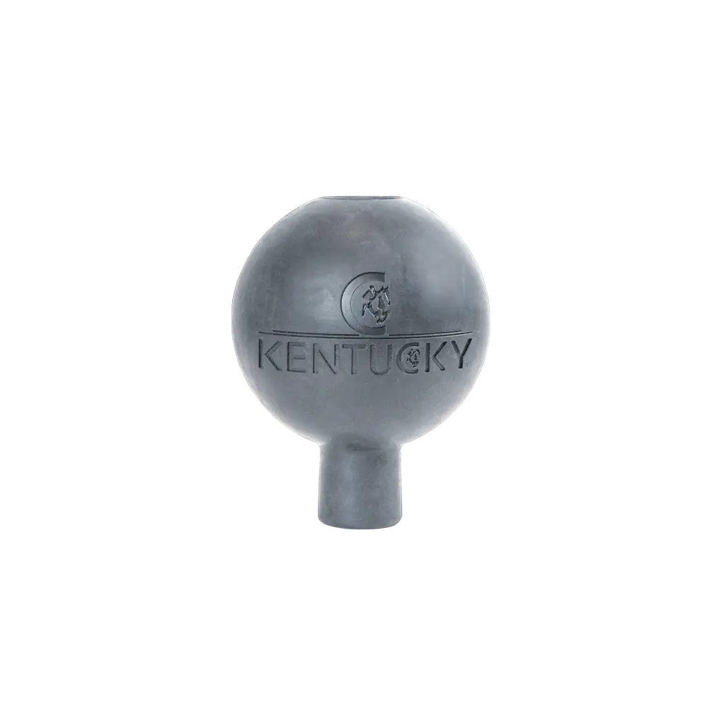 Kentucky Rubber Ball Wall and Lead Protector