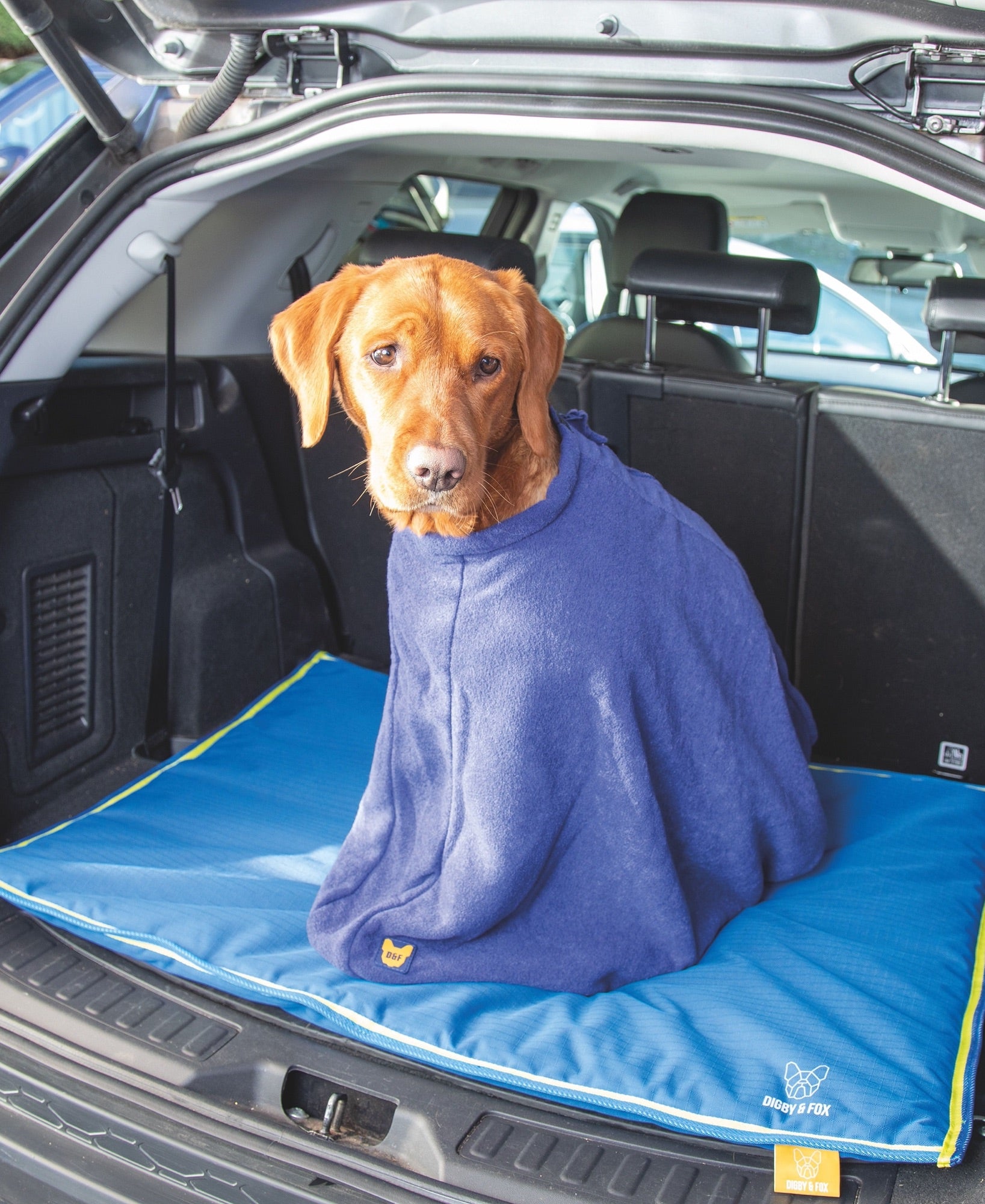 Digby & Fox Towel Bag - Navy