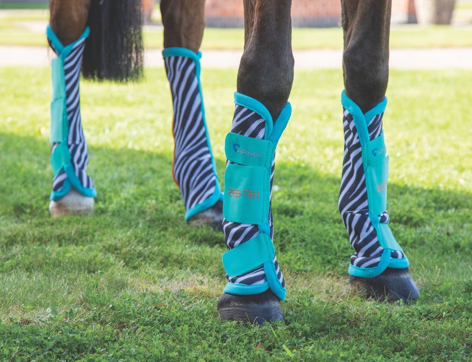 Arma ZEB-TEK Fly Turnout Socks - Nags Essentials