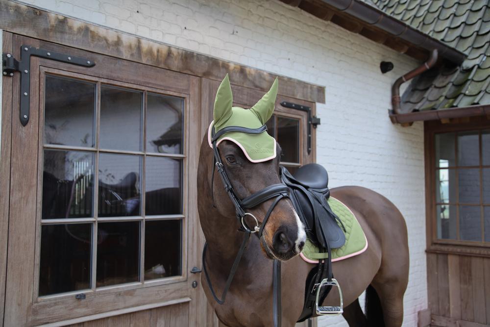 Kentucky Fly Veil Wellington Softshell