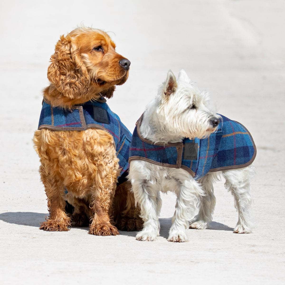 Digby &amp; Fox Tweed Dog Coat