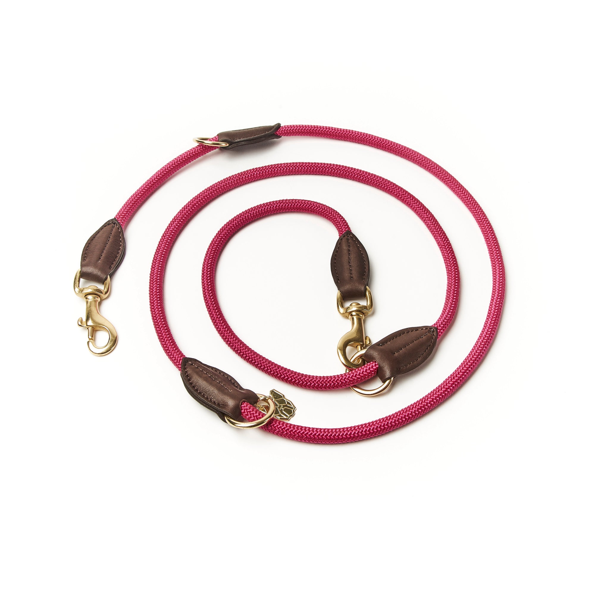 Digby & Fox Fine Rope Training Lead
