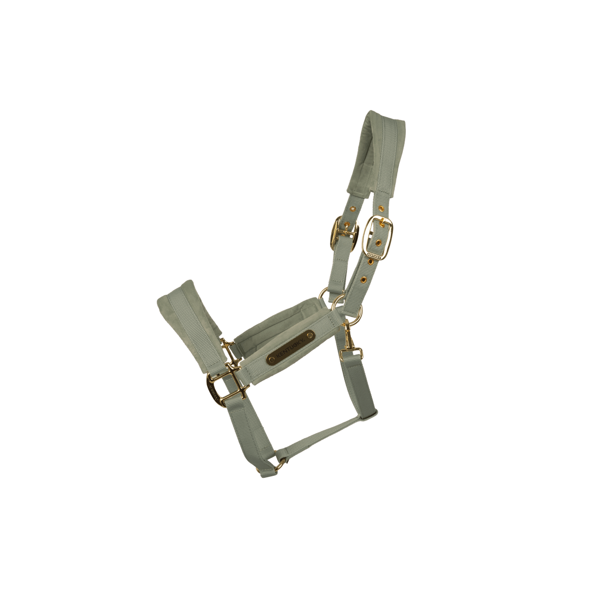 Kentucky Velvet Head Collar