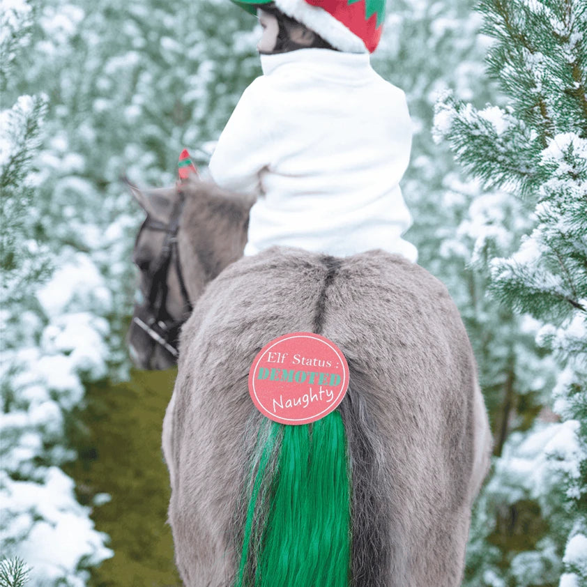 Cheeky Elf Festive Christmas Tail Tassel
