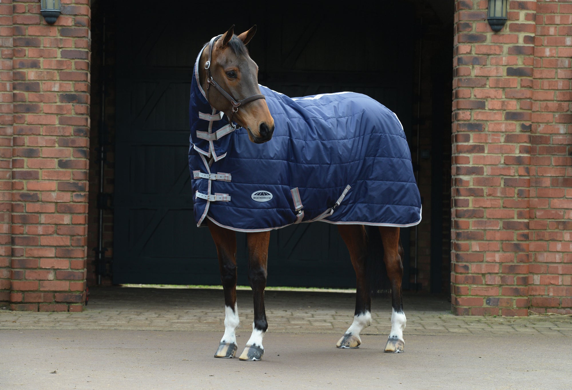 Weatherbeeta Comfitec 210D Channel Quilt Combo Medium/ Lite (110g) - Navy