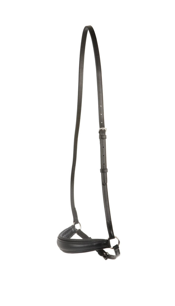 Collegiate Drop Noseband IV